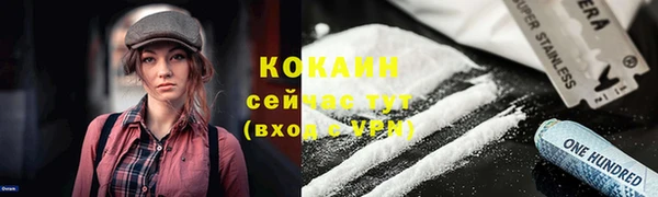 мяу мяу мука Михайлов