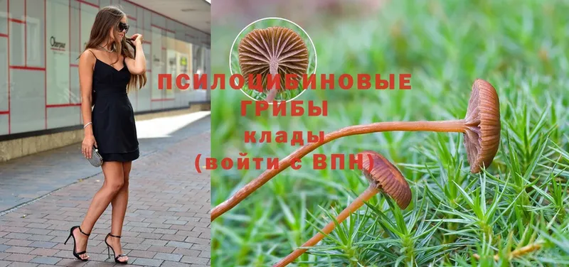 Псилоцибиновые грибы MAGIC MUSHROOMS  МЕГА ссылка  Мамадыш 